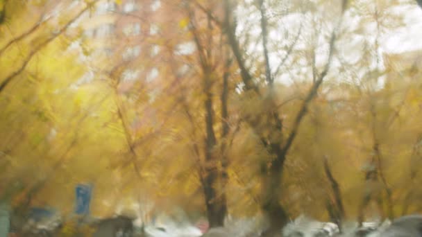 Lluvia de otoño a través del parabrisas — Vídeos de Stock