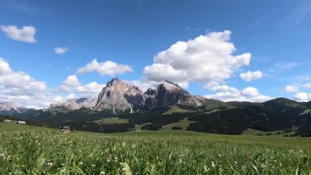 手前に緑の芝生が広がる美しい晴れた日には 象徴的なドロミテ山の頂上サッソピアットのタイムラプス イタリアアルプス アルプ シウジ ヨーロッパ ズームアウトショット — ストック動画