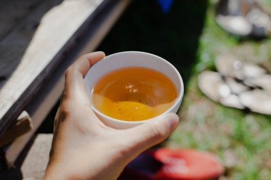 Güneşli bir yaz gününde, uzun otların ve ağaçların arasında kamp çadırları.