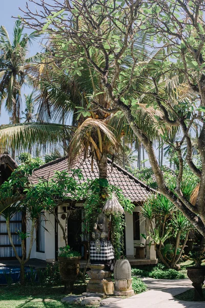 Bungalow Stylu Balijskim Wśród Palm Dżungli Święta Indonezji — Zdjęcie stockowe