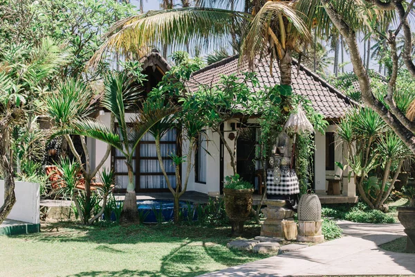 Dom Stylu Azjatyckim Tropikalnym Ogrodzie Palmami — Zdjęcie stockowe