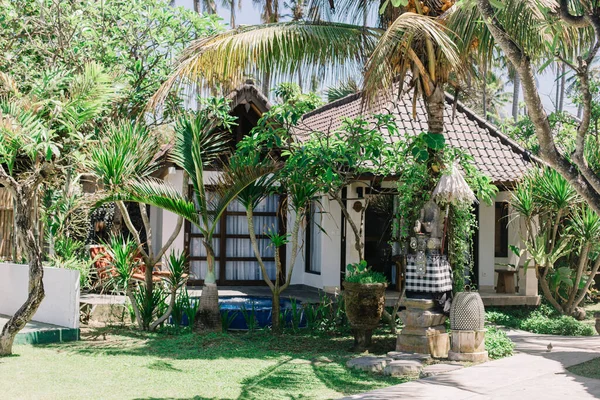 Balijski Domek Letniskowy Wśród Zieleni Tropikalnych Drzew Drzew Kokosowych Jasne — Zdjęcie stockowe