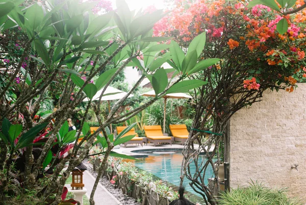 Hotelowy Basen Wśród Tropikalnych Roślin Kwiatów Drzew Jasne Kolory Światło — Zdjęcie stockowe