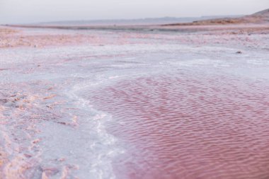 Pembe tuz bataklığı. Çölün ortasında doğal tuz gölü. Dünyanın harikaları.
