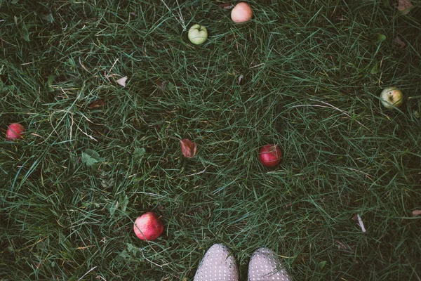 深绿色的草地 两边都有散落的苹果 女鞋从下面伸出来 大气照片 — 图库照片