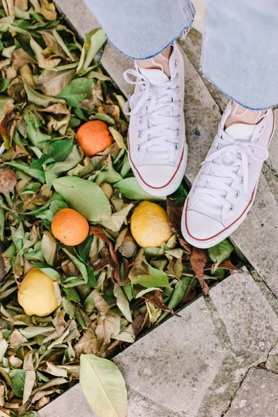 Pernas Mulher Sapatilhas Calça Contra Frutas Cítricas Caídas Limões Tangerinas — Fotografia de Stock