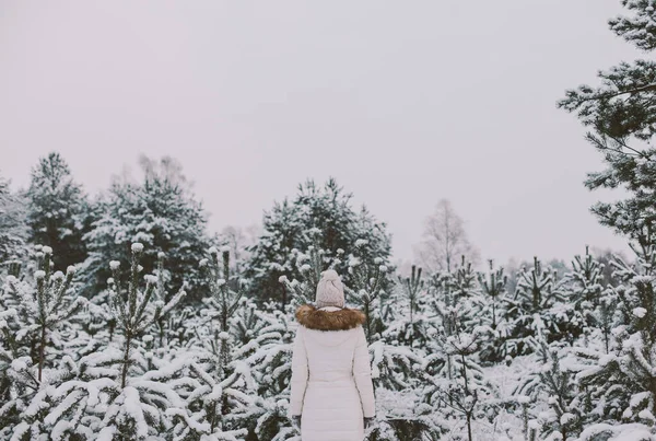 코트를 눈덮인 나무로 재킷을 겨울의 아름다운 — 스톡 사진