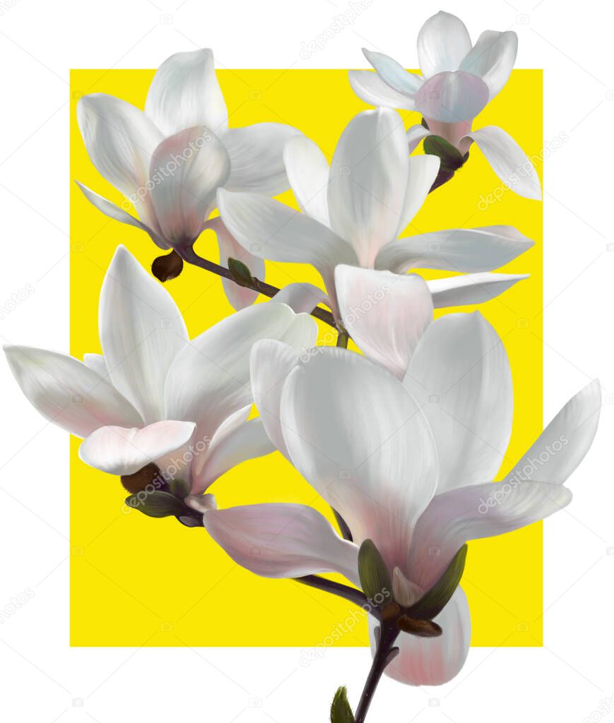 Digital illustration of white magnolia flowers. They are depicted on a bright yellow background. The work is done in a realistic manner.