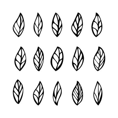 Element tasarımı için Yaprak Vektör Doğa çizimi. El çizimi Yaprak Çizgisi. 