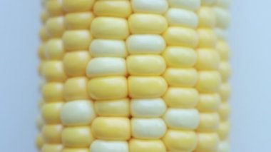 Koçan üzerinde mısır tanelerinin yakın görüntüsü - yavaş çekim