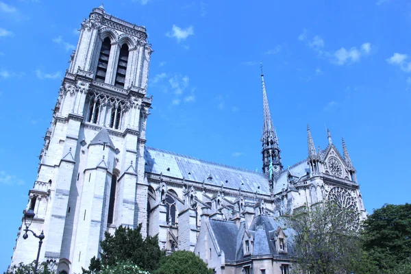 Katedra Notre Dame Paris Francja — Zdjęcie stockowe