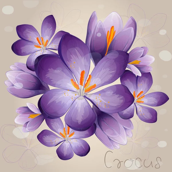 Romantik Lila Crocus yaprakları ve çim Bıçaklar ile
