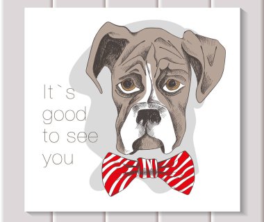 boxer köpek yavrusu kırmızı yay ile