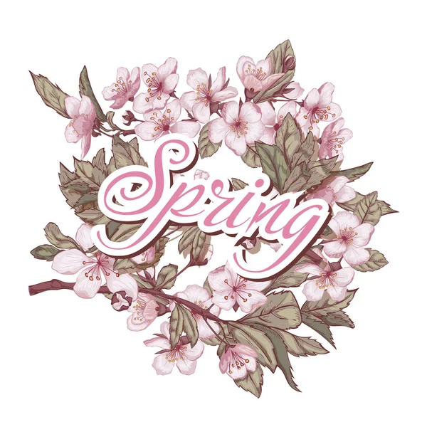 Надпись весна в цветах вишни — стоковый вектор