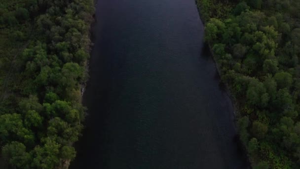 Havai çerçeve, Kamçatka ormanındaki nehir. — Stok video