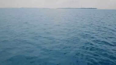 Okyanusun üzerinde, maldivlerde, okyanusta ve yunuslarda