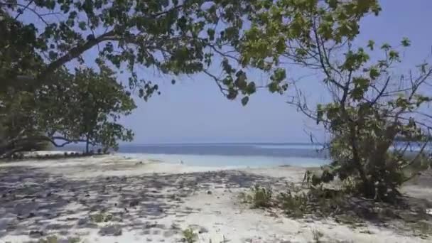 Marco aerodinámico con maldivas, océano, isla, playa y naturaleza — Vídeos de Stock