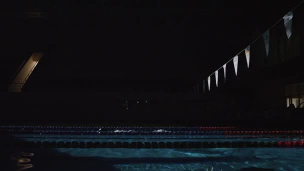 Nadador nada na água da piscina — Vídeo de Stock