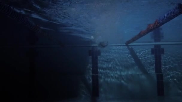 Υποβρύχιες βολές, κολύμπι κολυμπά στο νερό της πισίνας — Αρχείο Βίντεο