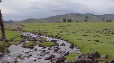 İzlanda 'dan, şelaleden, nehirden ve doğadan
