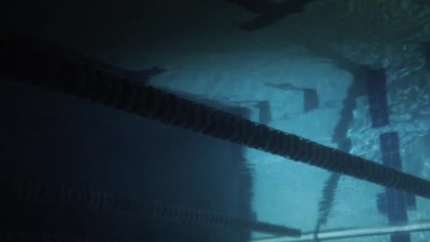 Marco submarino en la piscina, atleta, nadador y deporte — Vídeo de stock