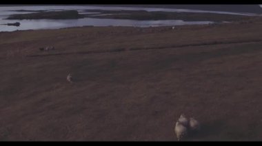 İzlanda 'dan, dağlardan ve sudan bir çerçeve