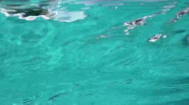 sualtı çerçevesi, dalgalar ve su denizlerde ve okyanusta