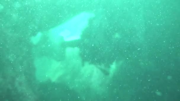 Di bawah air ditembak, penyelam scuba berenang sepanjang bagian bawah antara terumbu karang — Stok Video