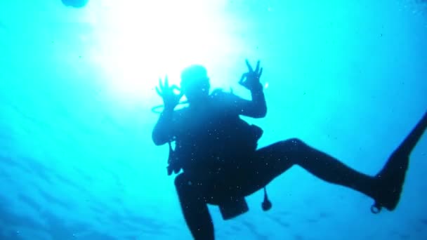 Images sous-marines de Maldives, plongeurs, poissons, récifs et nature — Video