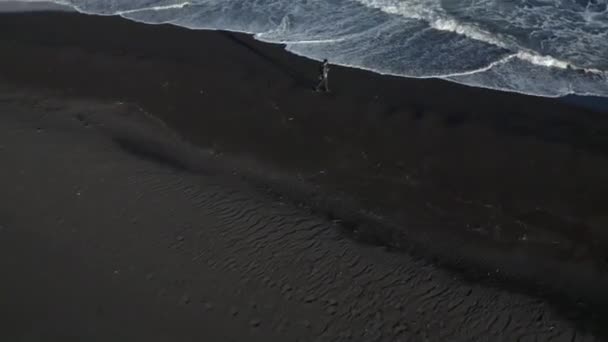 Девушка стоит на пляже на Камчатке, волна от моря — стоковое видео