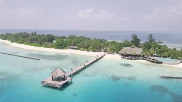 Flygfoto av Maldiverna, en ö i havet och naturen — Stockvideo
