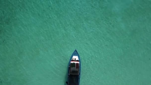Plano aéreo de las Maldivas, una isla en el océano y la naturaleza — Vídeos de Stock