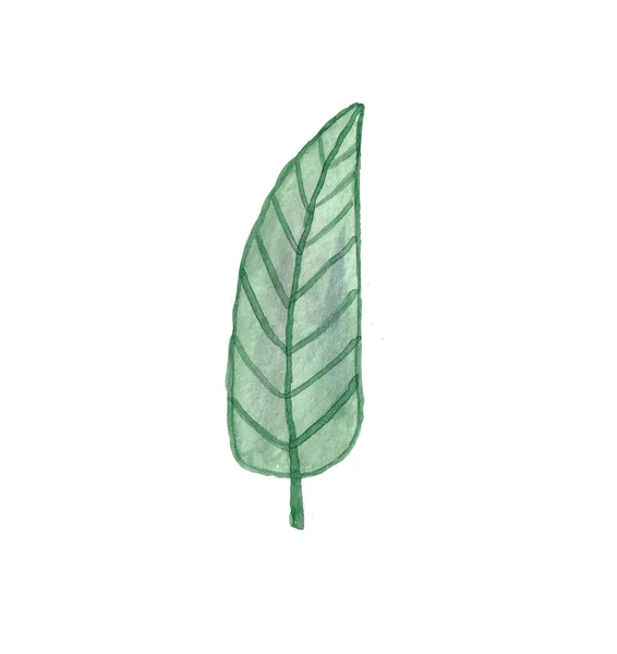 Watercolor mão desenhada verão única folha verde . — Fotografia de Stock