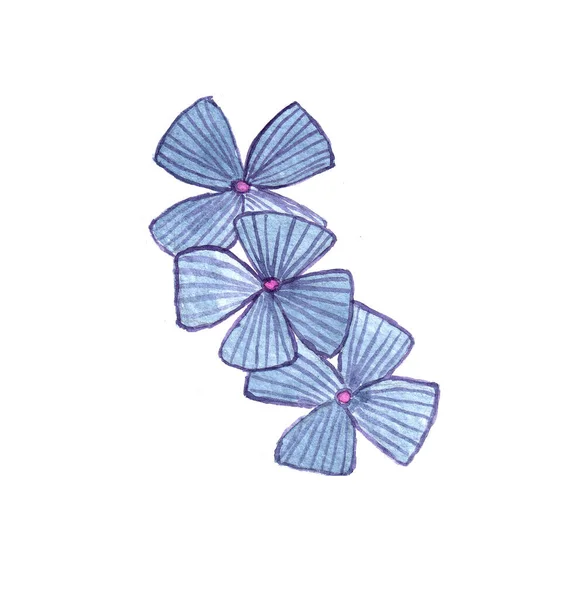 Akvarell handritad sommar tre blå blommor. — Stockfoto