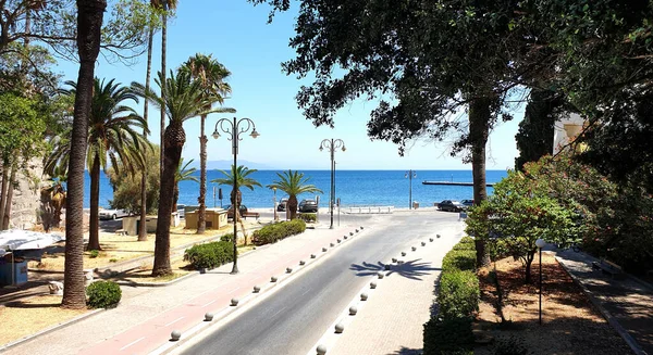 Denize giden palmiye ağaçları olan bir yol..