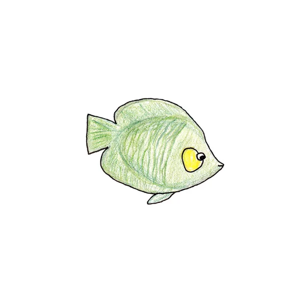 Illustration de poisson vert tropical sur fond blanc. — Photo
