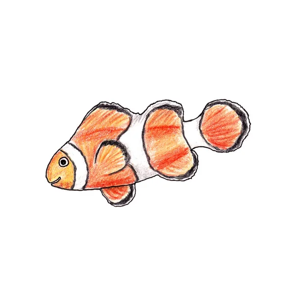 Tropikalna czerwona ryba ilustracja na białym tle. — Zdjęcie stockowe