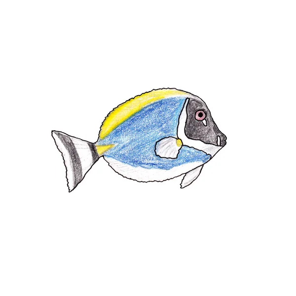 Trópusi kék hal illusztráció fehér alapon. — Stock Fotó