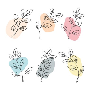 Renk şekilli süs yaprakları. Beyaz arka planda el çizimi vektör çizimleri. Zarif siyah siluetler çiçek elementleri ayarlandı. Kitaplar için dekorasyon, poster, broşür, afiş tasarımı.