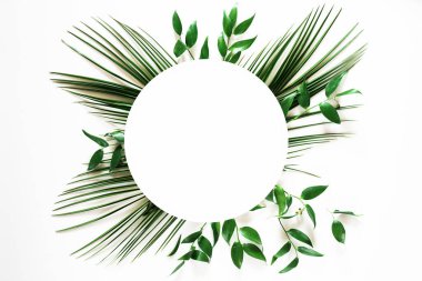 Beyaz arkaplanda tropik yeşil yaprak çember çerçevesi