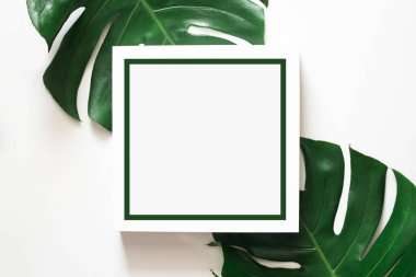 Beyaz arkaplanda tropik yeşil yaprak çerçeve