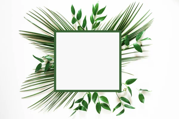 Tropical Green Leaf Frame White Background — Stock Photo, Image