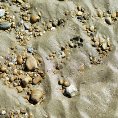 Kum ve taşlara yakın.