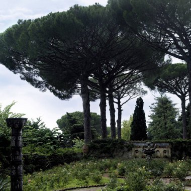 Amalfi 'de ağaçlar ve bitkiler