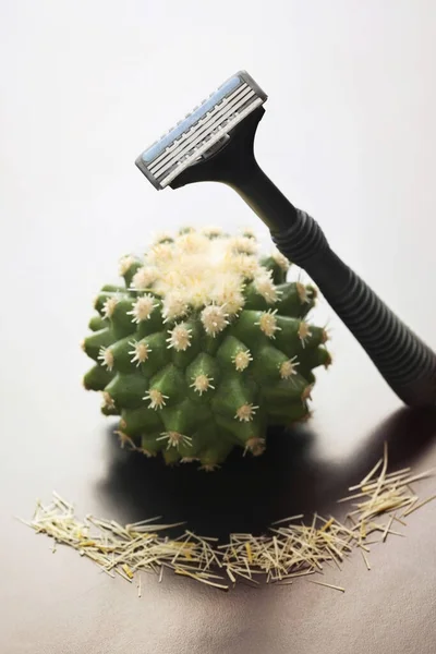 Cactus Shaver — Stock Photo, Image