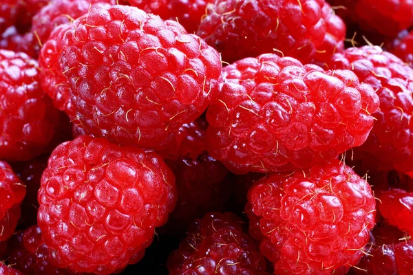 Fresh Raspberries Close View — Stok fotoğraf