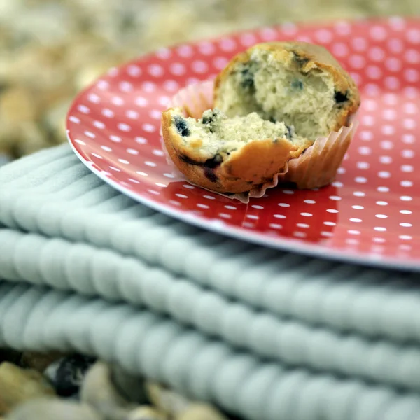 Muffin on folded picnic blanket