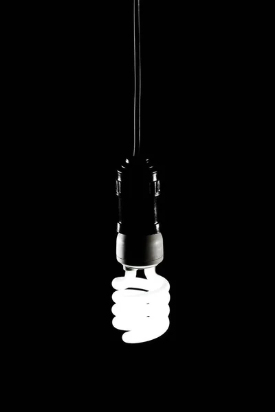 Энергосберегающая Лампочка — стоковое фото