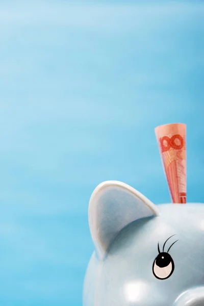 Geld Piggy Bank — Stockfoto
