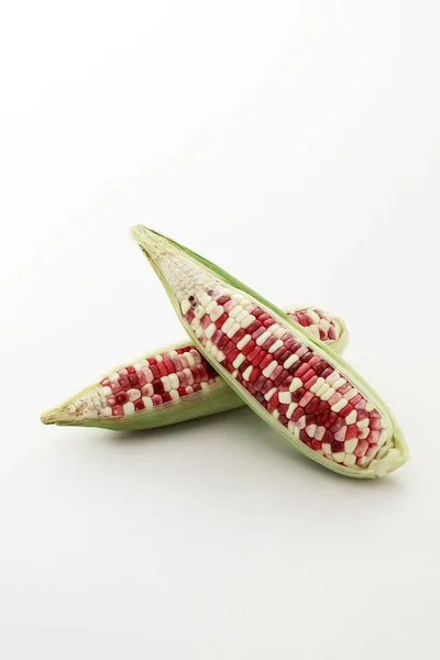 Colorful Corn Cob Close View — Stockfoto